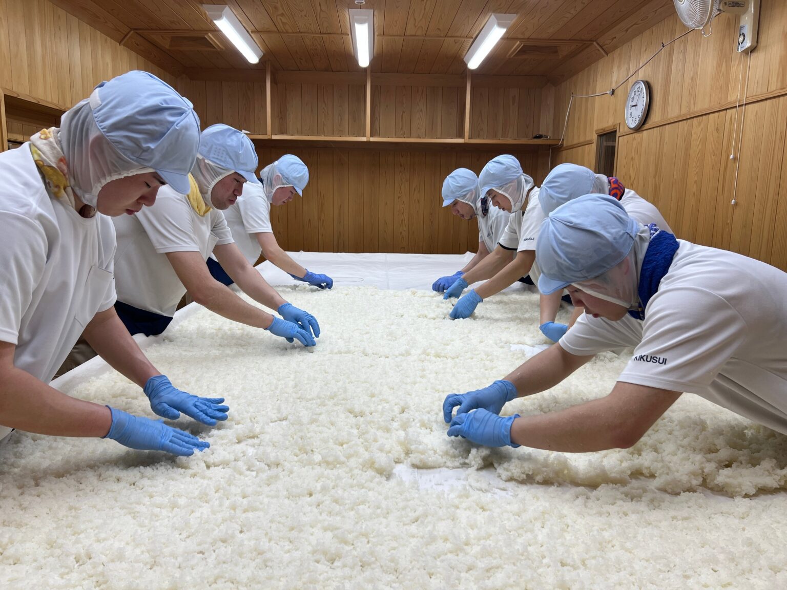 菊水酒造、蔵人と酒造りを体験する2日間プログラム参加者募集 定員5人・3万5000円