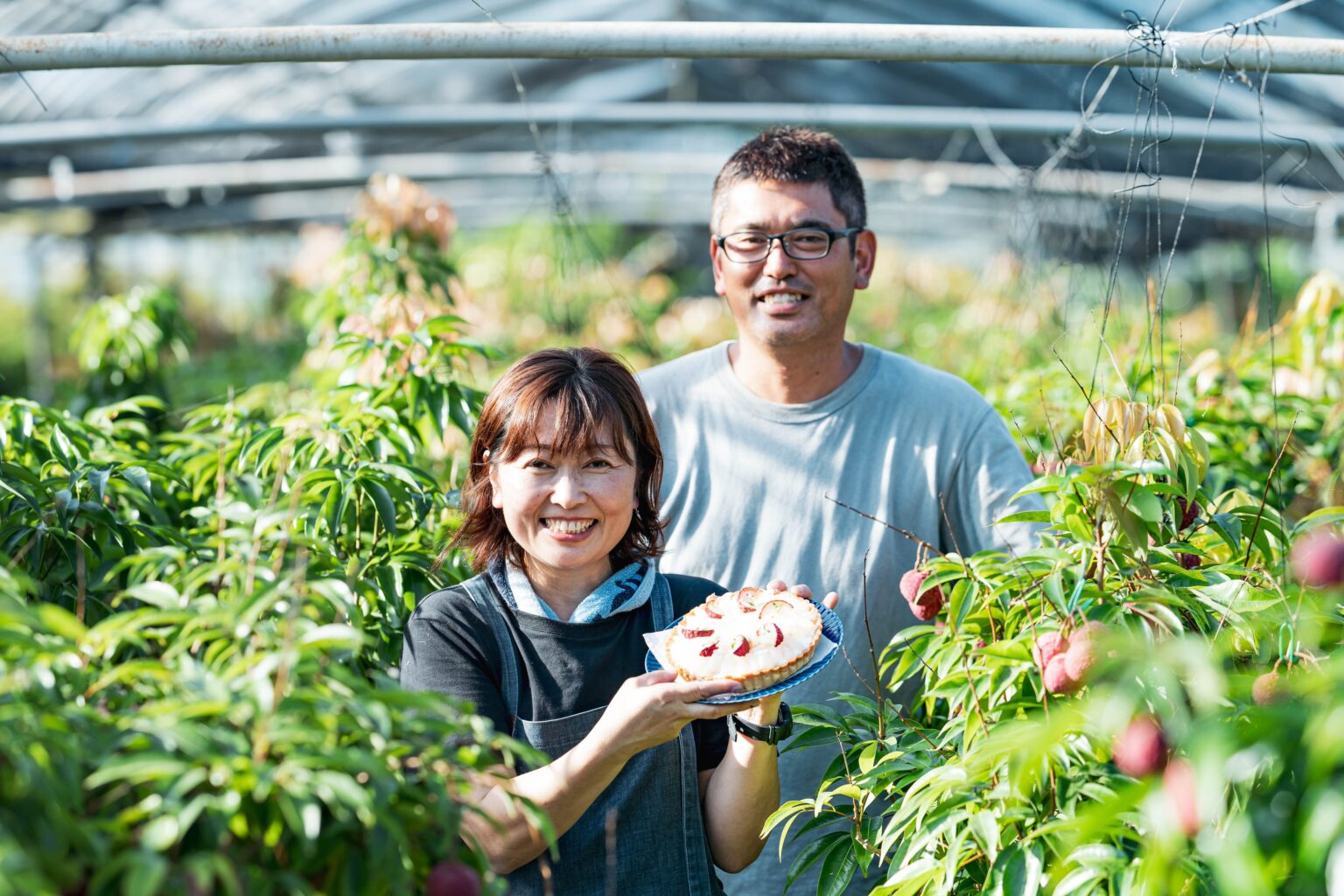 新富町、国産生ライチを1か月早く「春摘み」で返礼品受付