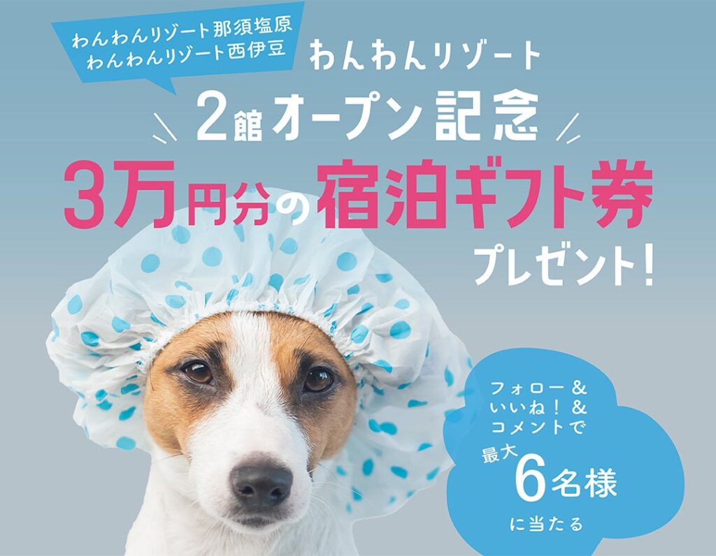 わんわんリゾート那須塩原・西伊豆が3月1日同時開業、SNSで3万円分ギフト券が当たる