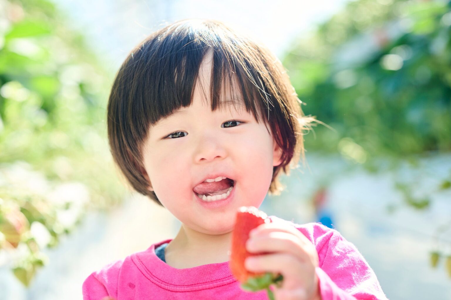 2026年春休み、家族の外出予定は75% 行き先はテーマパーク39%で首位、花見は「近所で気軽に」50%