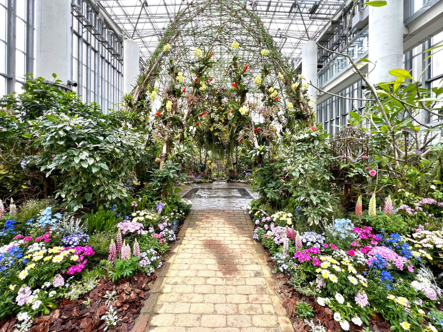 淡路市のあわじグリーン館で春の植物展、5月10日まで 空中回廊からヒスイカズラなど鑑賞