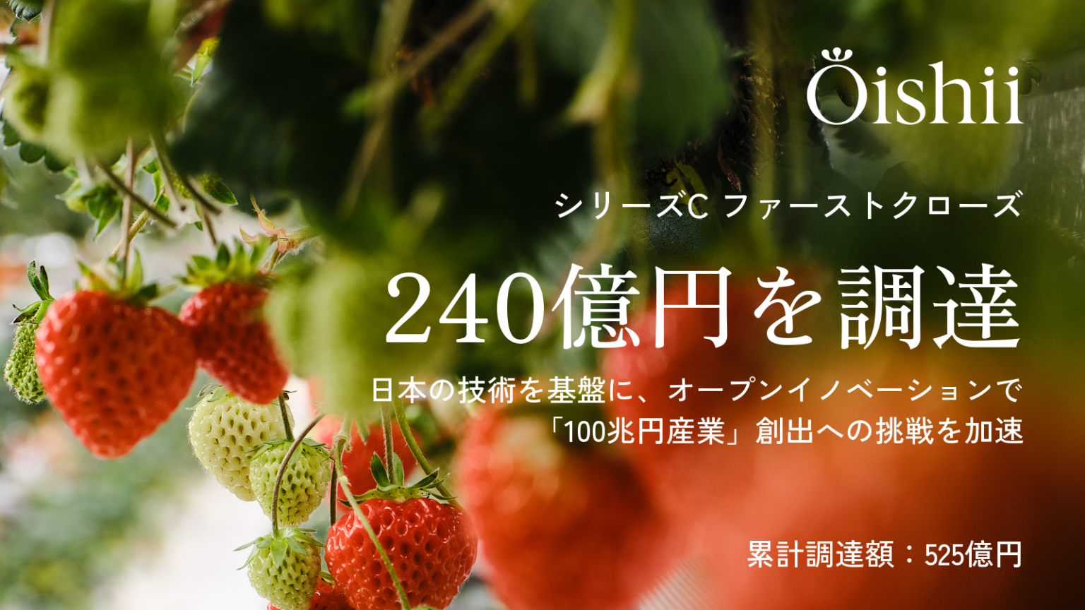 Oishii Farm、シリーズC初回で約240億円調達 累計525億円に