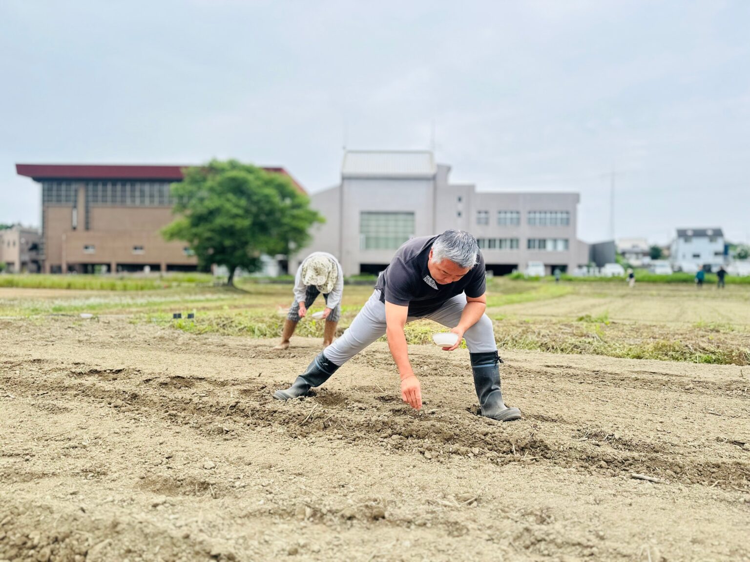 ときがわ町でソルガム種まき体験、参加者に弁当と玉川温泉入館券