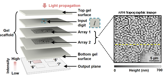 フジクラとMIT、3次元ナノ加工「ImpCarv」をNature Photonicsに発表 光ニューラルネットで数字4種を分類