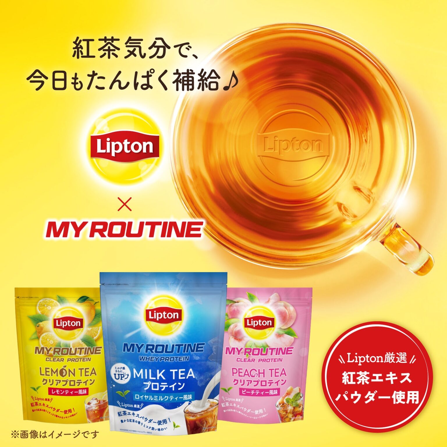 Lipton紅茶エキス使用の「マイルーティーン」プロテイン、3種のティー風味で5月24日発売