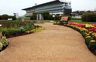 公園・遊歩道で採用拡大、間伐材を使う「ウッドチップ舗装®」の施工事例を公開