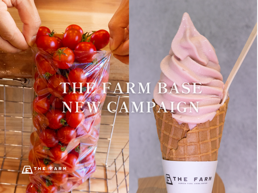 千葉・香取のTHE FARM BASE、フルティカトマト盛り放題を半額500円で実施へ