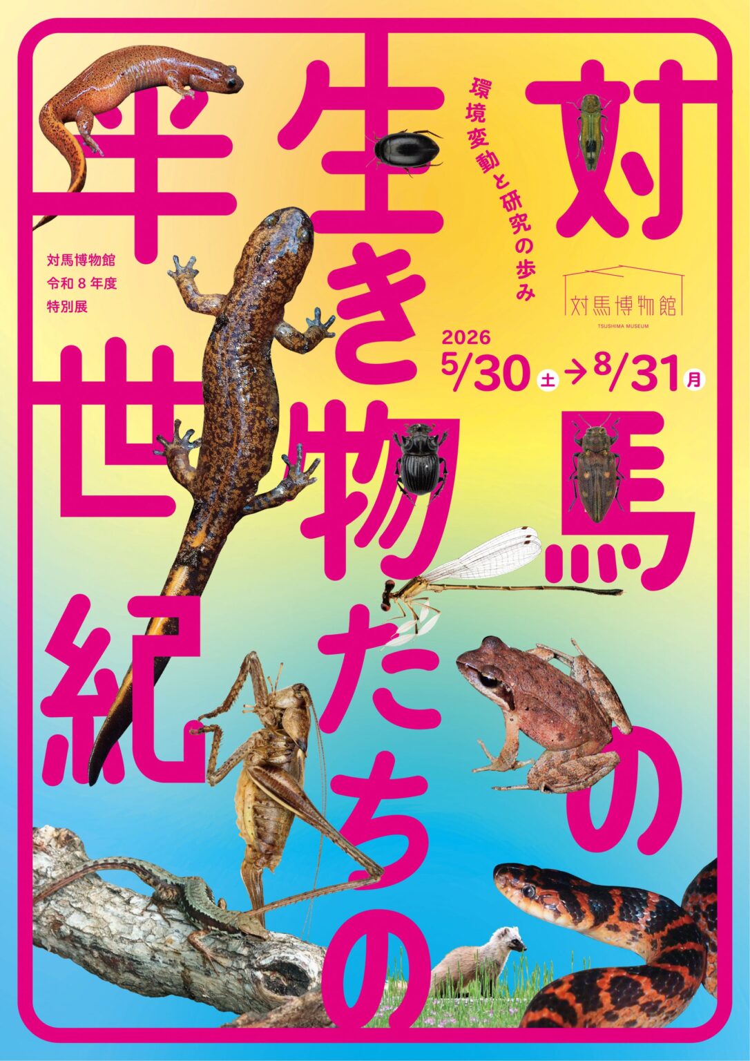 対馬博物館、特別展で「対馬の生き物」50年の変化を紹介 観覧料500円