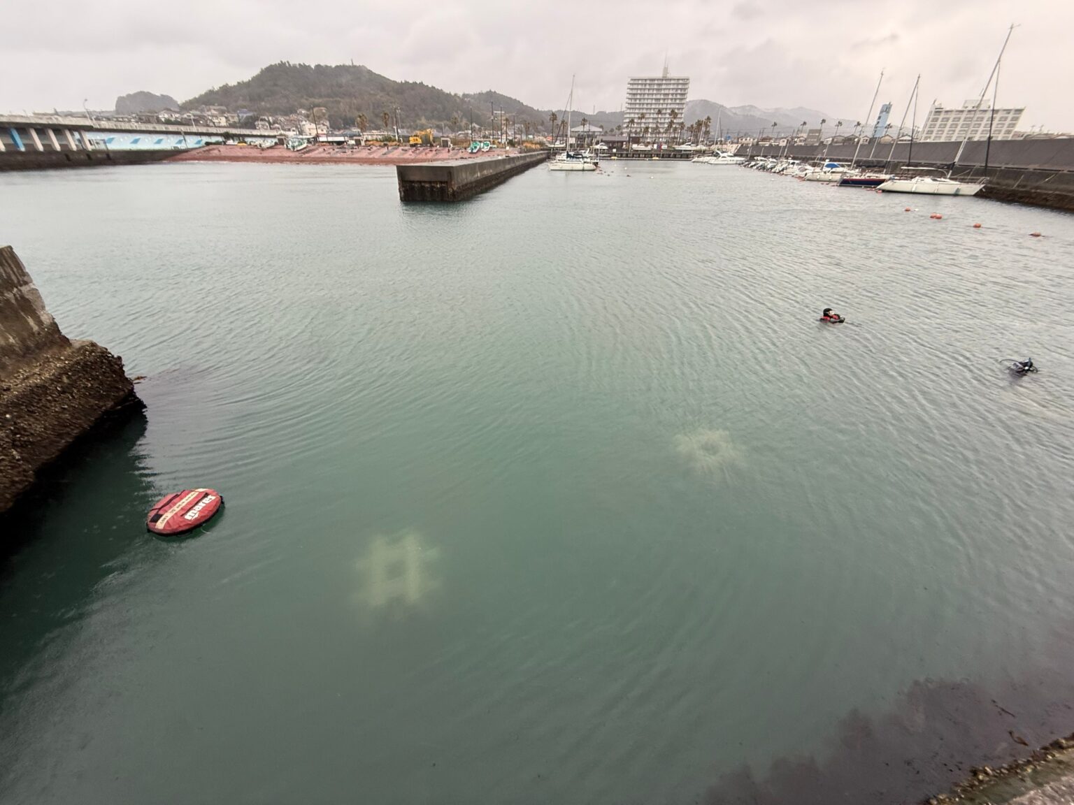 鴨川で再生素材の人工魚礁「有機体ブロック」設置、藻場再生の実証開始