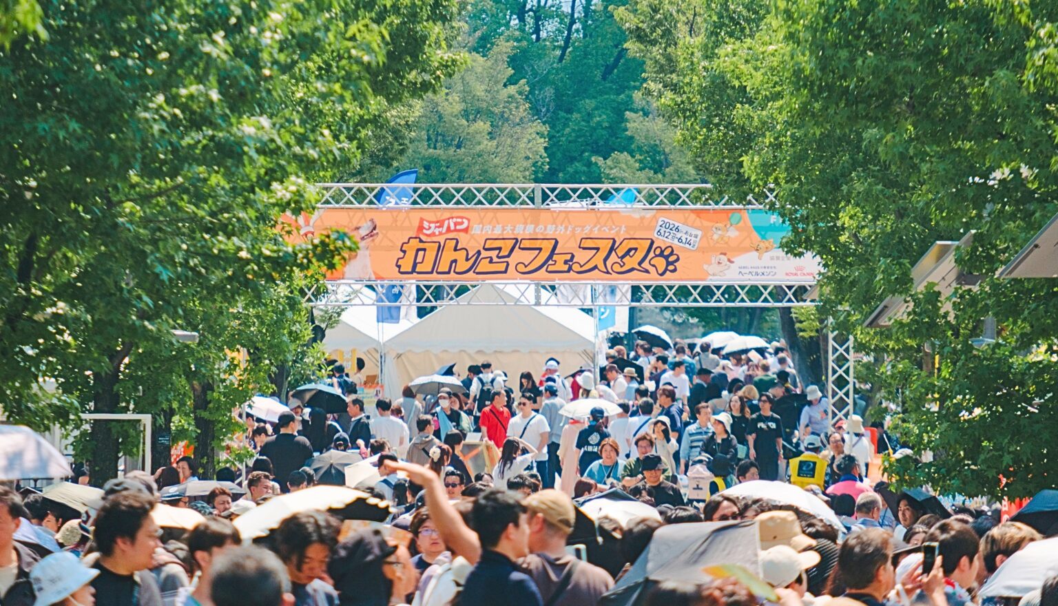 お台場で「ジャパンわんこフェスタ2026」3日間で約8万人来場、出店250店規模に