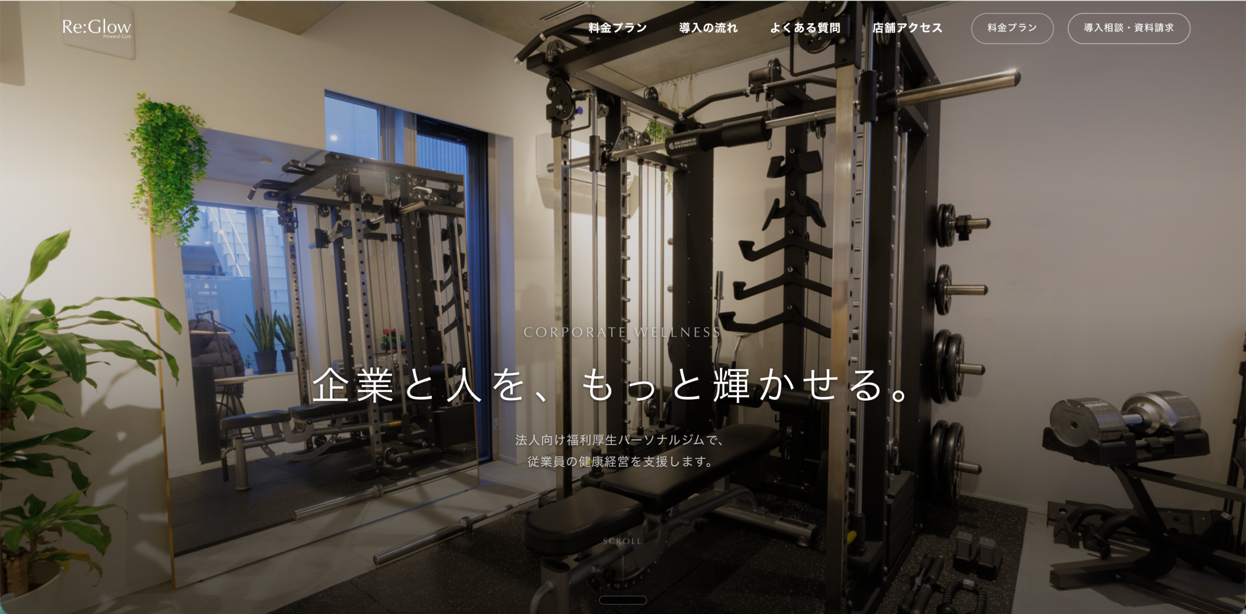 三鷹・調布のRe:Glow、法人福利厚生プラン初月50%OFF　各店先着3社