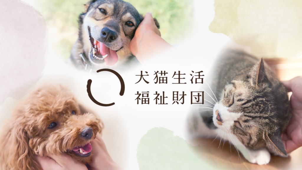 犬猫生活福祉財団、全国の保護・譲渡団体向け助成の公募開始 15団体に年20万円上限