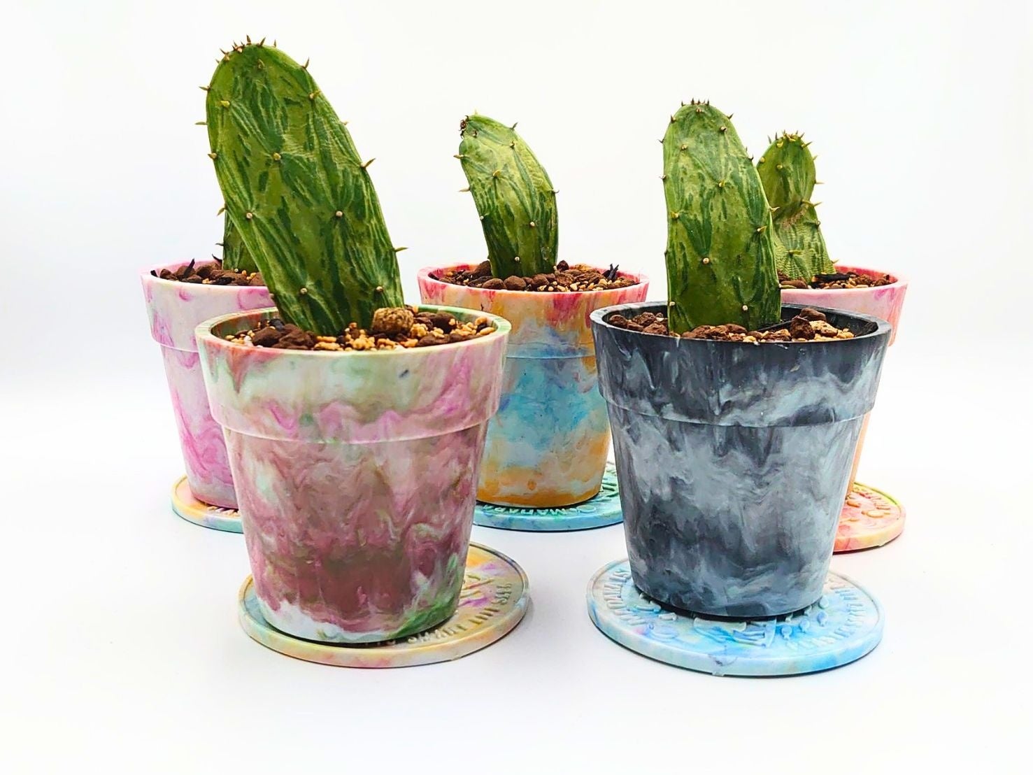 約1,000個のペットボトルキャップをその場で植木鉢に　「Precious Plastic唐津」が福岡市植物園に出店