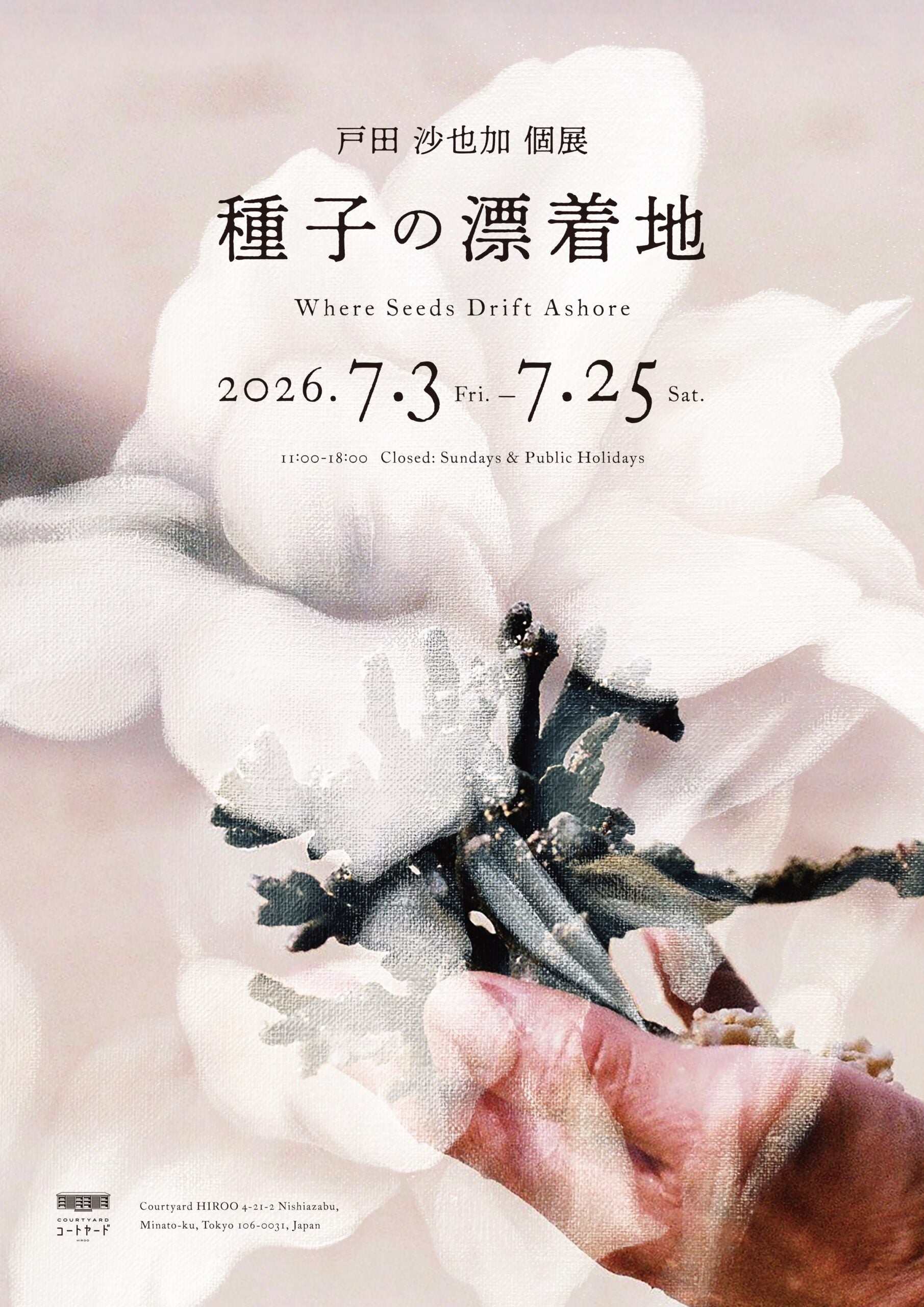 広尾「コートヤードHIROO」で戸田沙也加個展「種子の漂流地」7月3日〜25日開催