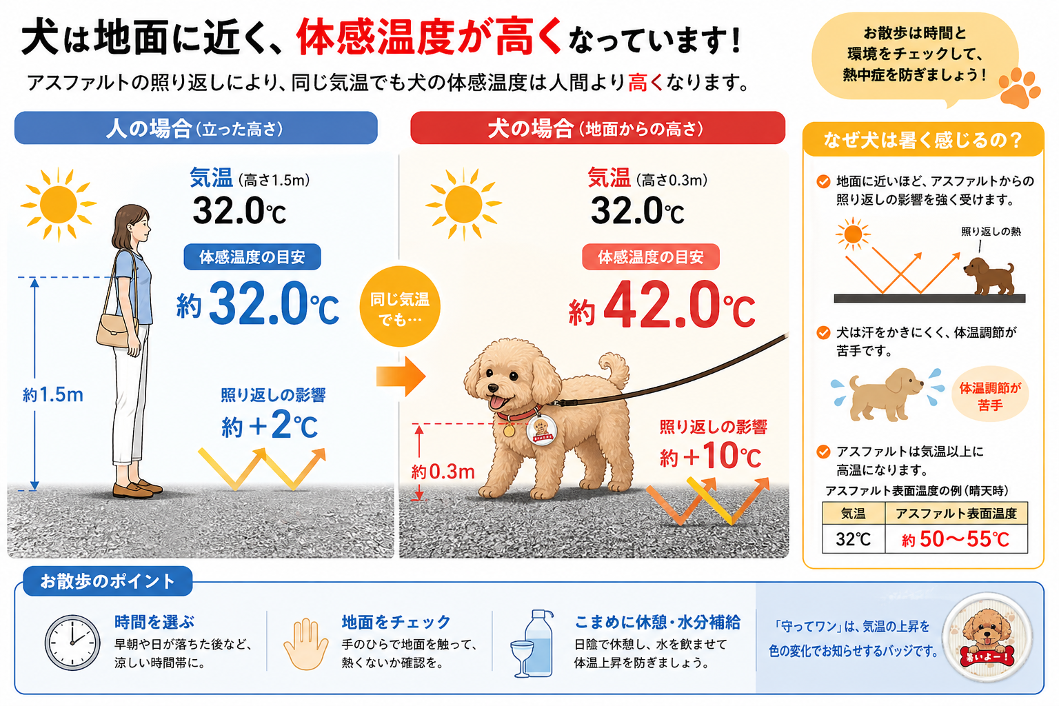 約32℃で色が変わる犬用バッジ「守ってワン」 スタジオ・ノアが本格販売