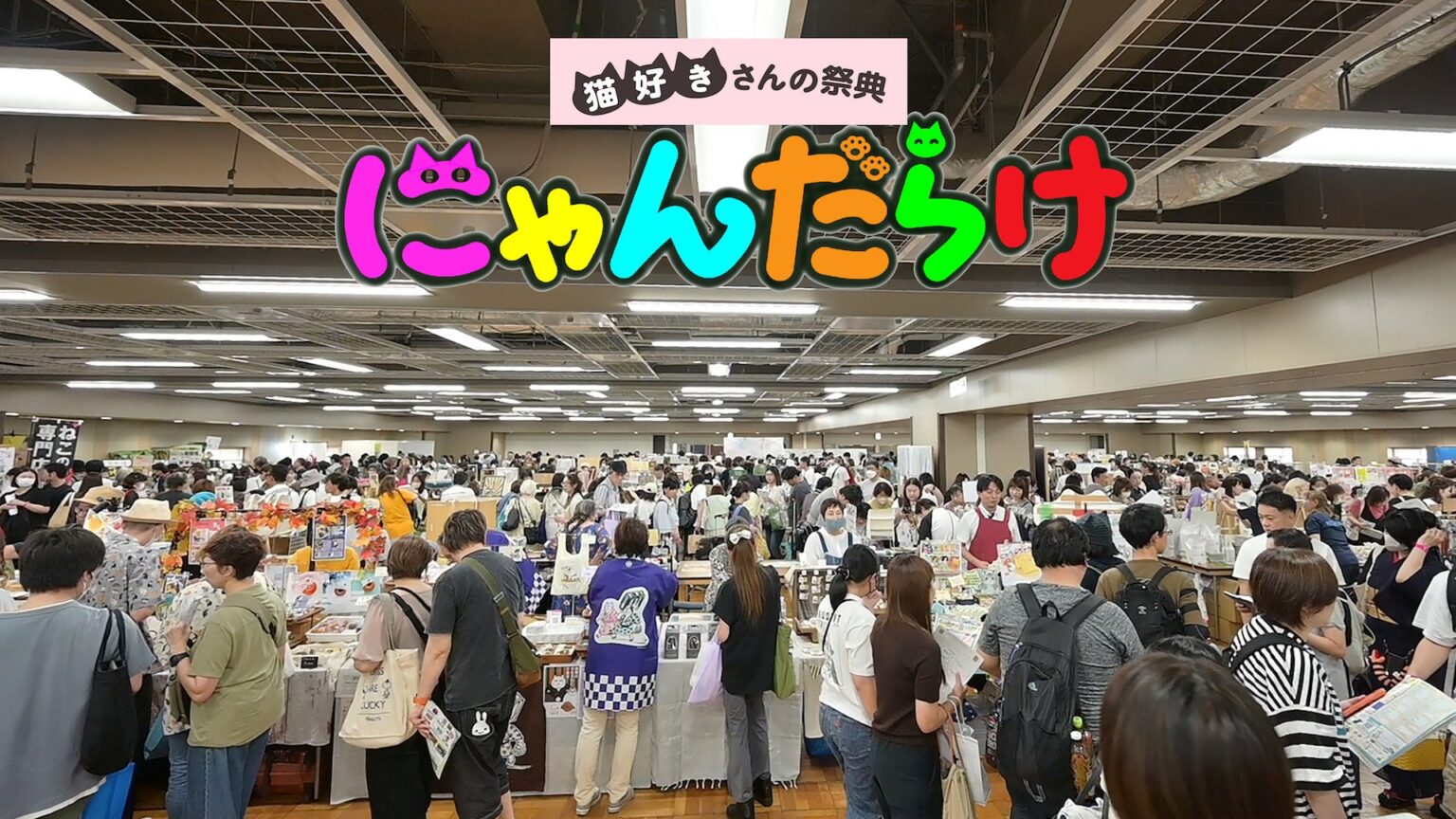 10周年の猫イベント「にゃんだらけ21」開催へ 健康・シニア猫コーナー新設、出展者募集