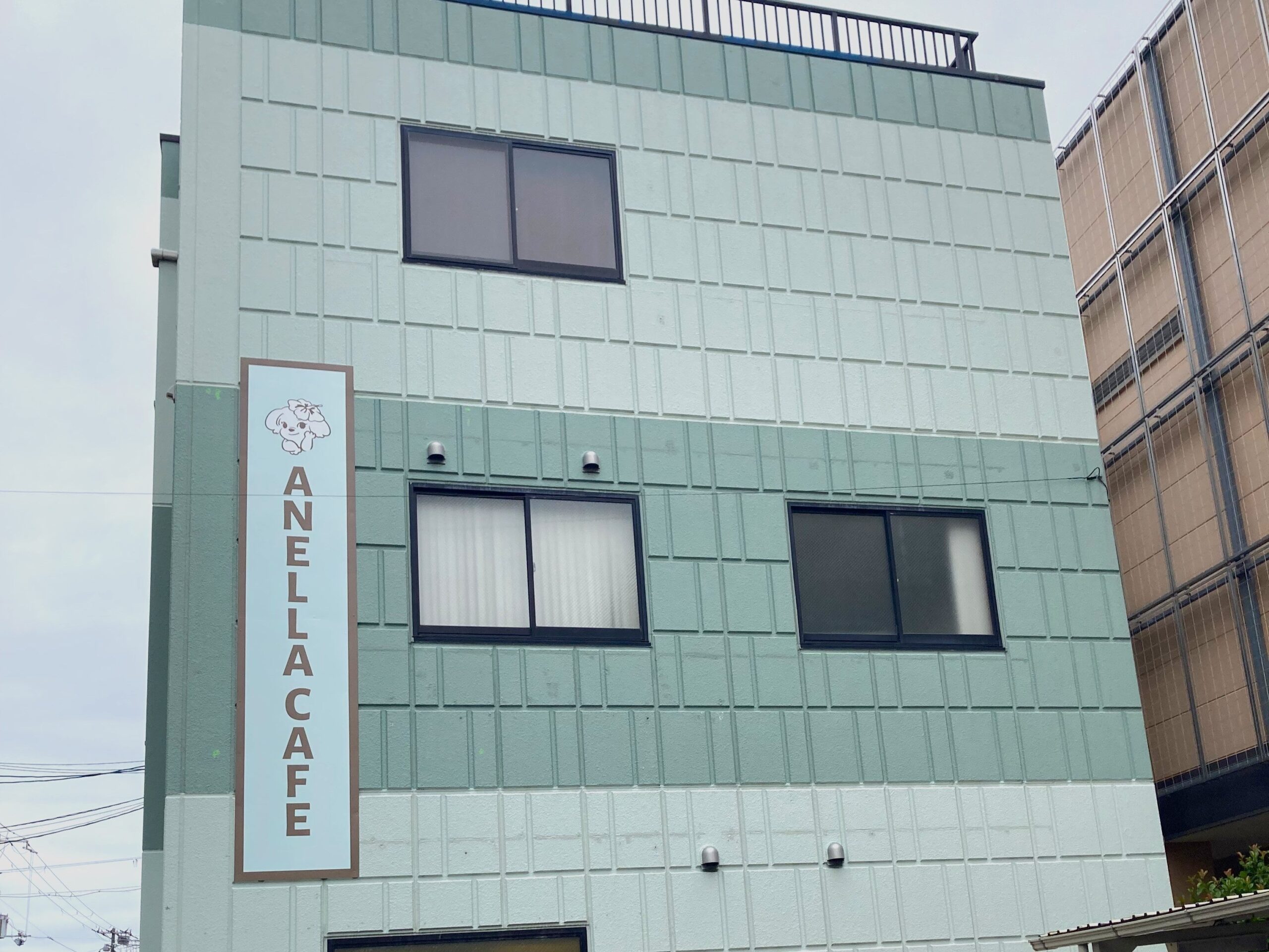 福祉型の保護犬猫ふれあいカフェ「ANELLA CAFE」大阪松原店が6月26日開業、全国34店目