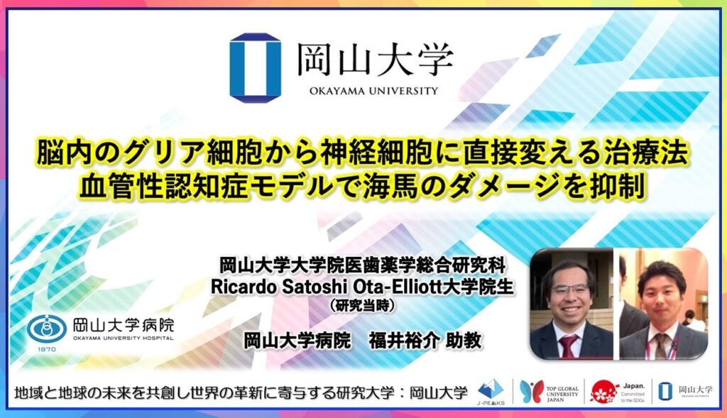 グリア細胞を神経細胞に直接変換、血管性認知症モデルで認知機能改善傾向 岡山大など