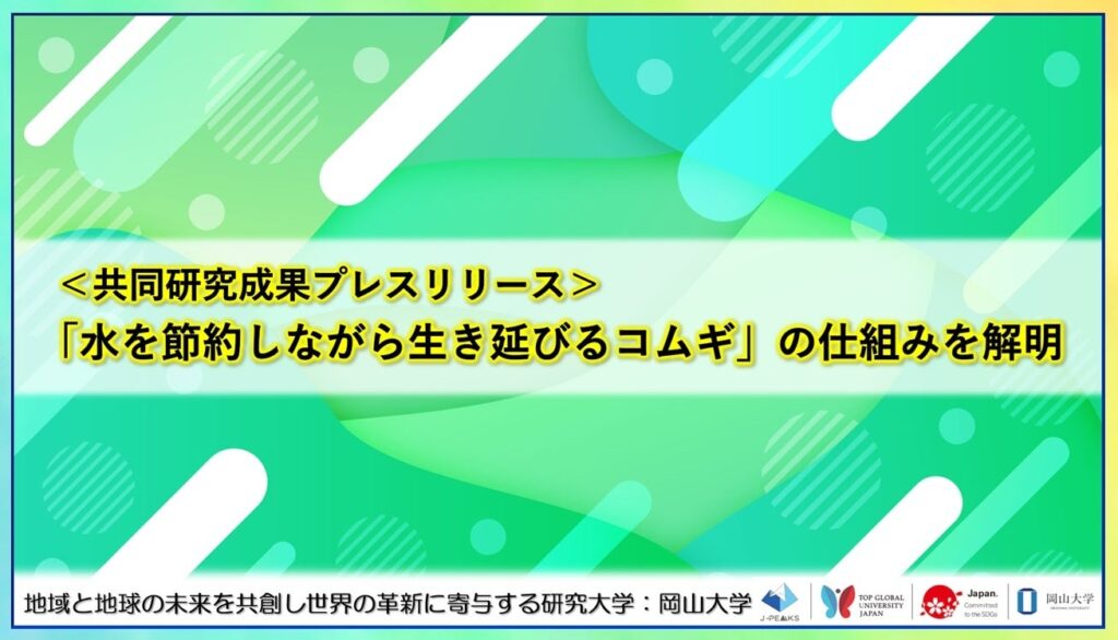 水を節約して生き延びるコムギ変異体「WS1」解析、気孔制御と代謝再編で乾燥耐性