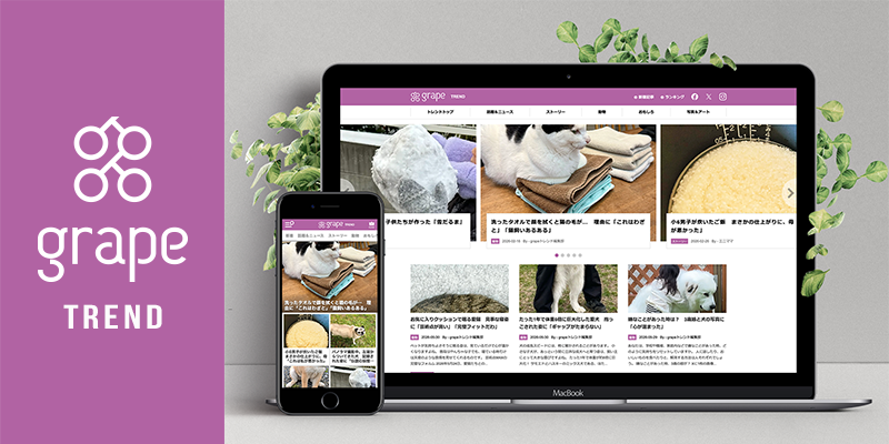 グレイプ、新メディア「grape TREND」6月24日開始 共感とファンダムでトレンド領域を強化