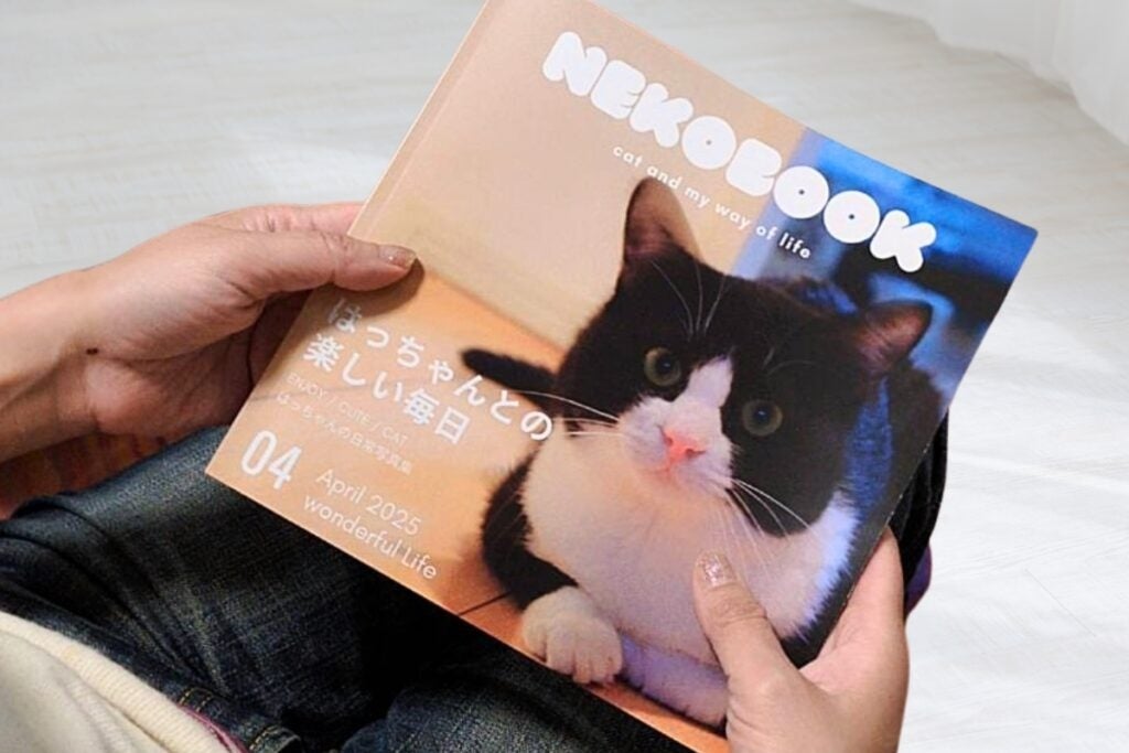 社員猫との別れから生まれた「うちのこ写真集」、誕生秘話ページを公開