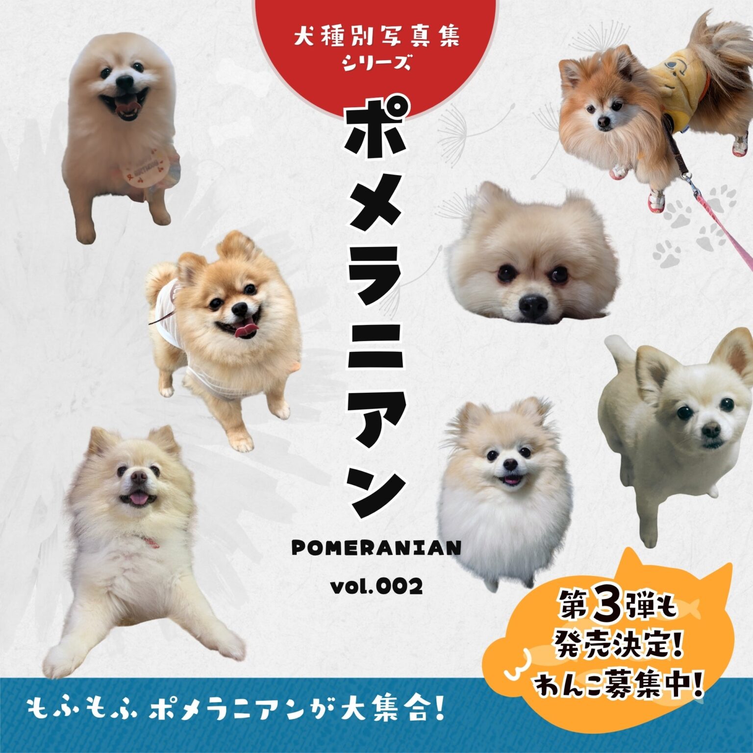ポメラニアン写真集vol.002、Kindle版を5日間無料配信 vol.003モデル犬は先着20匹