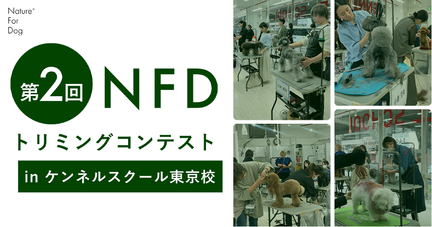 第二回NFDトリミングコンテスト、9月10日にケンネルスクール東京校で開催へ