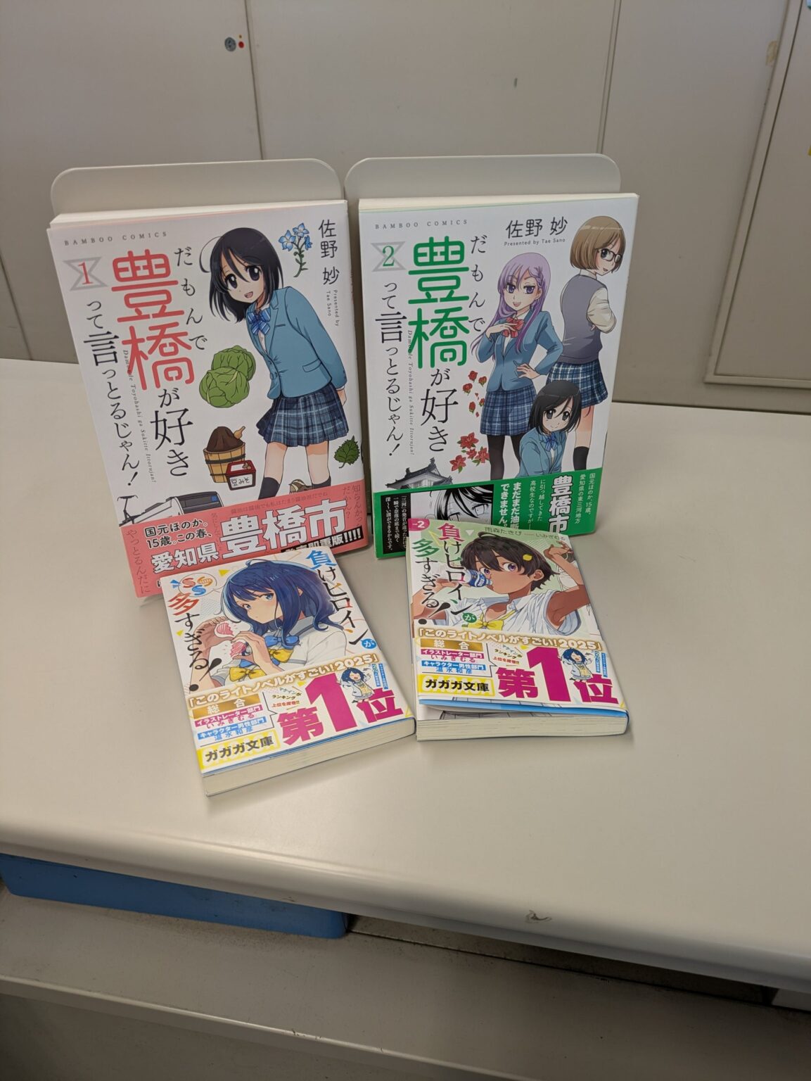 豊橋市が市制120周年講演会、佐野妙さん×雨森たきびさん対談を無料招待 定員600人