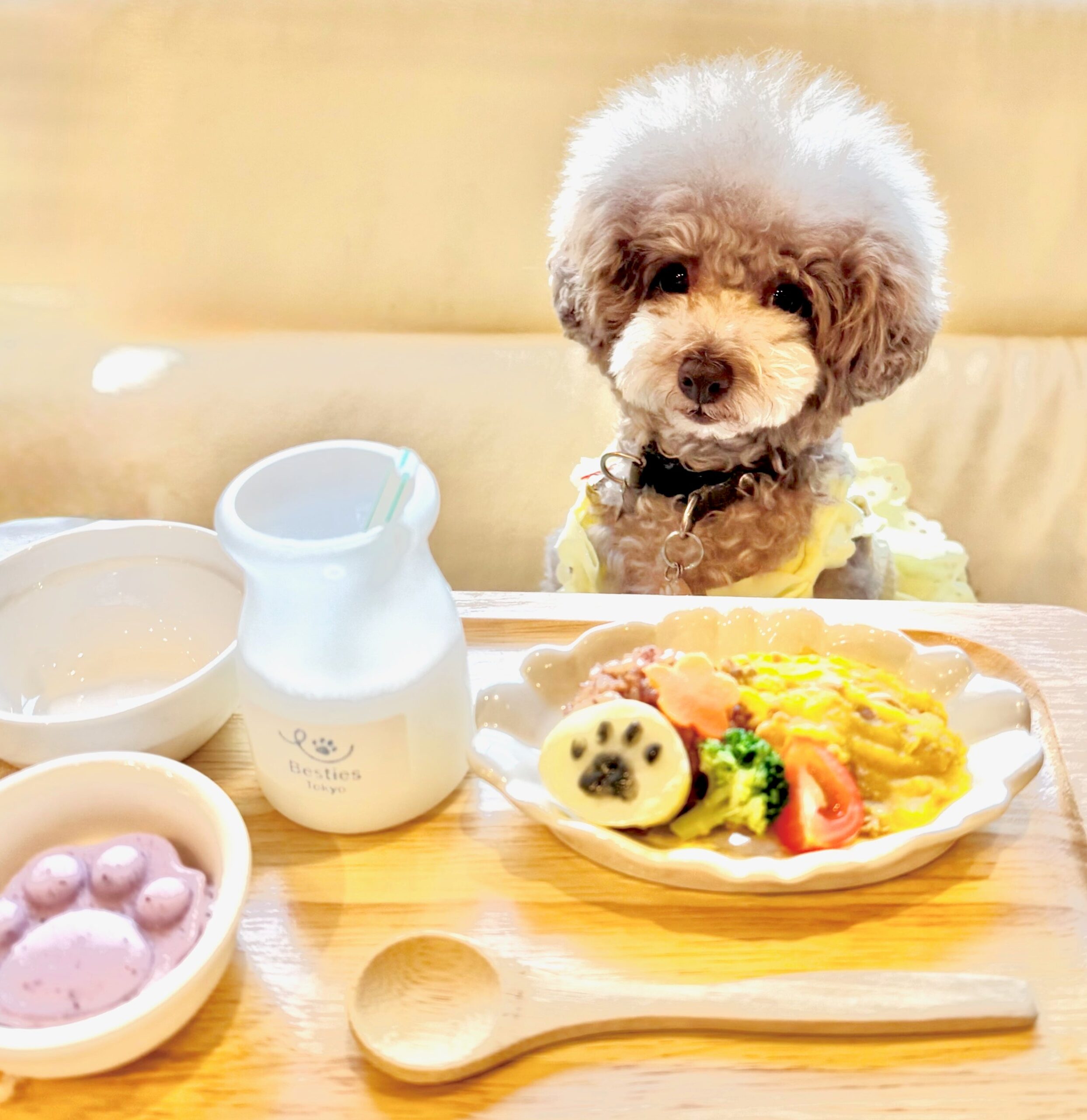 新小岩の「わんことママの新小岩ベース」、犬の夏バテ対策メニューを8月3日開始 飼い主と“お揃い”提供 新小岩の「わんことママの新小岩ベース」、犬の夏バテ対策メニューを8月3日開始 飼い主と“お揃い”提供
