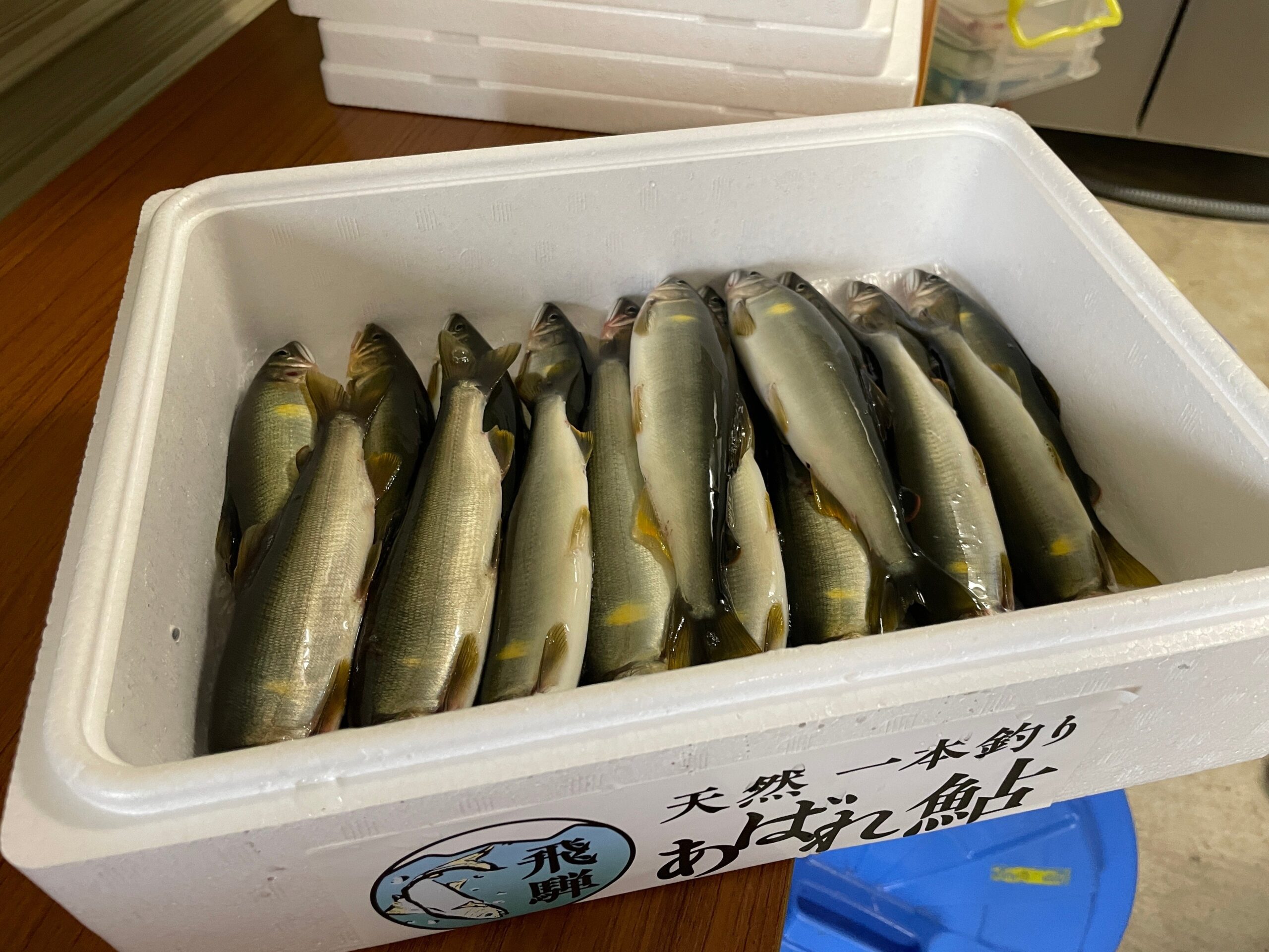 飛騨の天然鮎「飛騨のあばれ鮎」、6月25日に豊洲で今期初出荷　20センチ超も