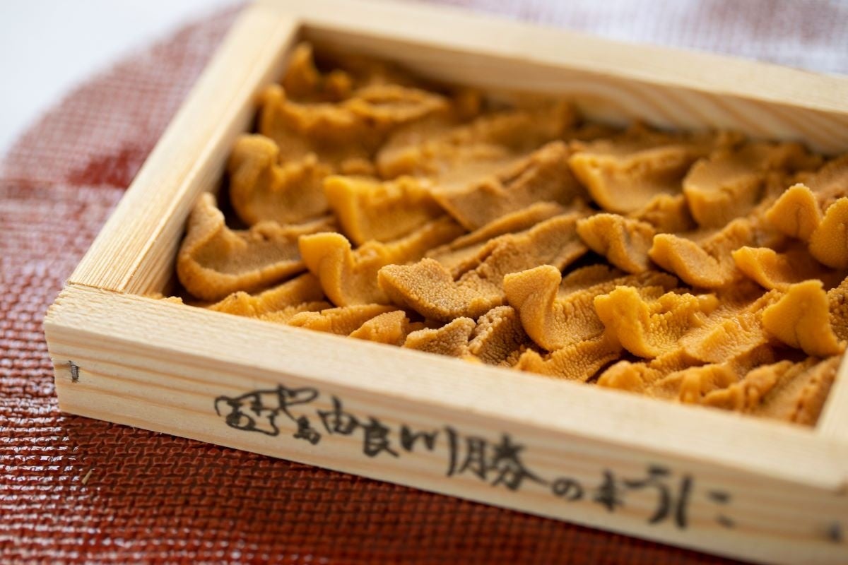 淡路島のヴィラ「GRAND CHARIOT」、由良の赤うにを夕食で1箱提供へ 週10組限定 淡路島のヴィラ「GRAND CHARIOT」、由良の赤うにを夕食で1箱提供へ 週10組限定