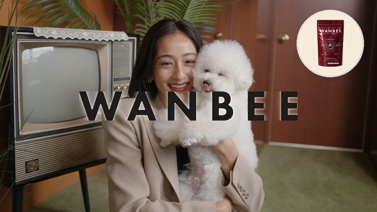6年根高麗人参入り犬猫サプリ「WANBEE」、5月1日から公式サイトで販売開始 6年根高麗人参入り犬猫サプリ「WANBEE」、5月1日から公式サイトで販売開始