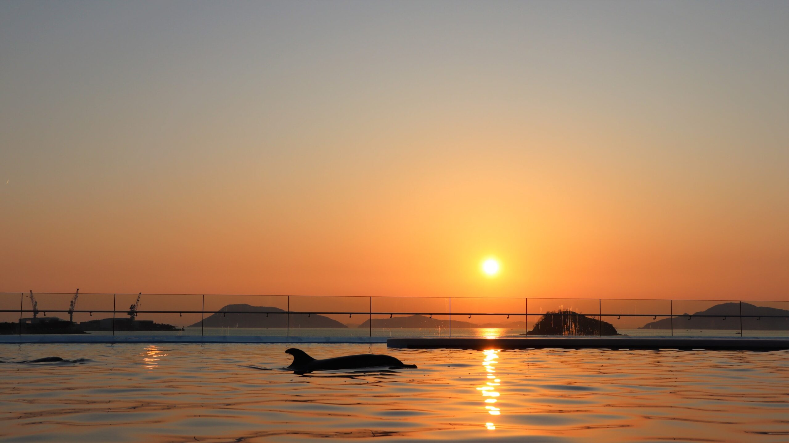 四国水族館、8/31〜9/30は閉館を日没10分後まで延長　最終入館は17:30