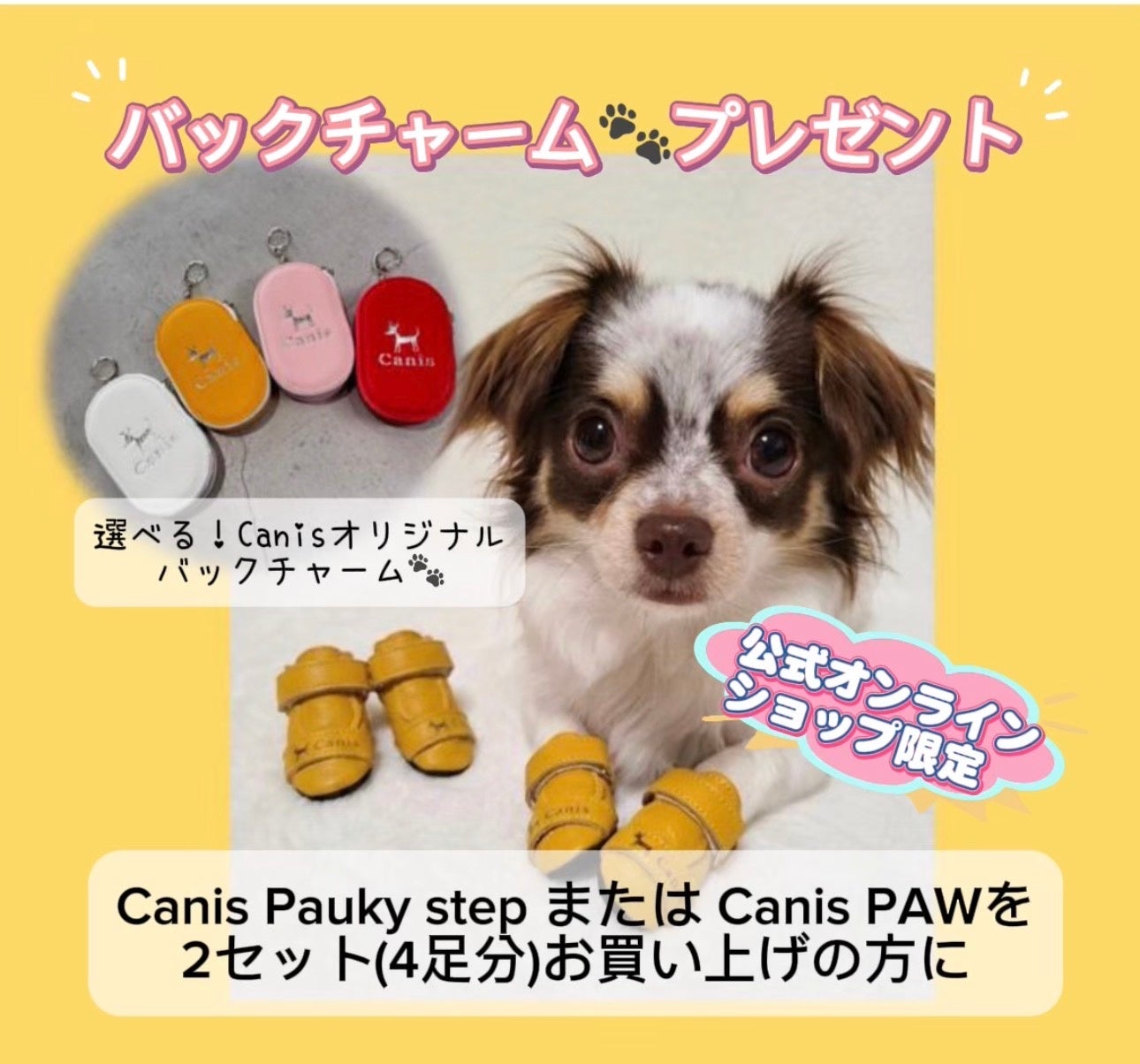 細身犬種向け本革犬靴「Canis ポウキーステップ」発売、2セット購入でポーチ進呈 細身犬種向け本革犬靴「Canis ポウキーステップ」発売、2セット購入でポーチ進呈