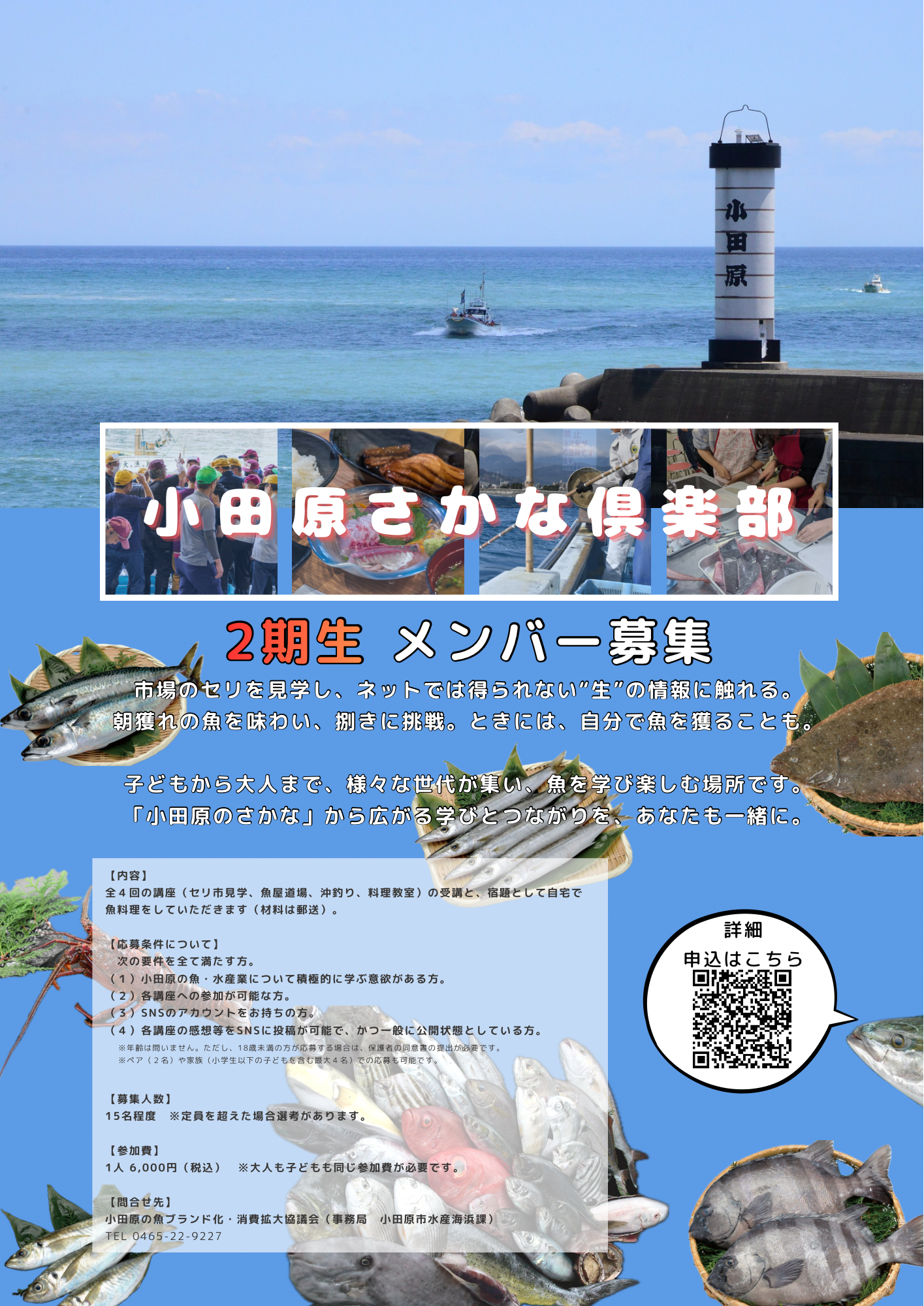 小田原市、魚の魅力をSNSで伝える「さかなアンバサダー」講座2期生を募集