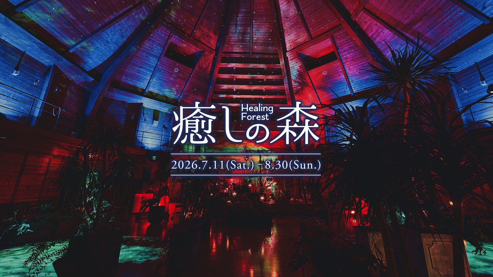 神戸布引ハーブ園、屋内「癒しの森」を夏仕様に刷新 モロッコランプ約40灯と香り演出 神戸布引ハーブ園、屋内「癒しの森」を夏仕様に刷新 モロッコランプ約40灯と香り演出