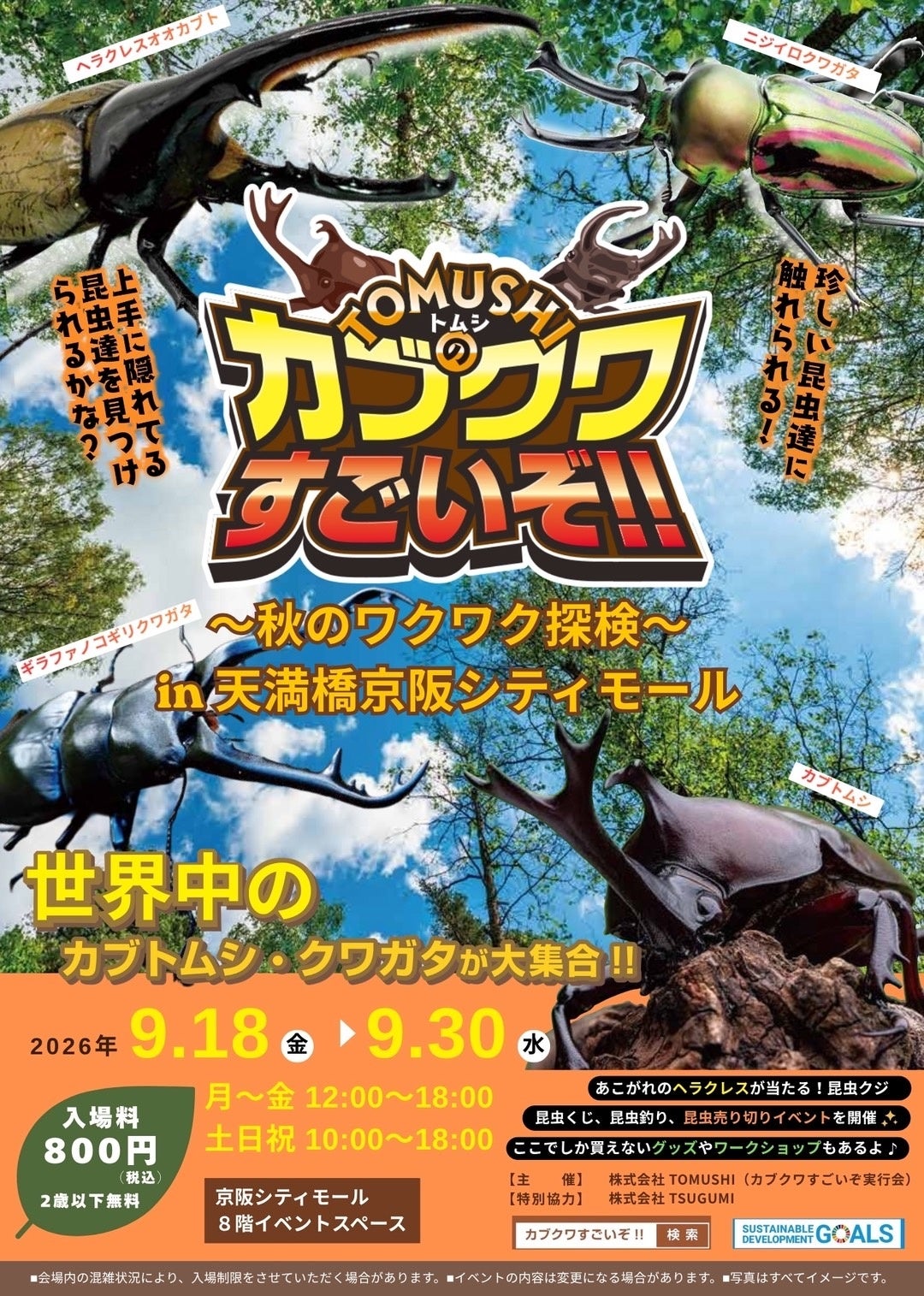 天満橋で親子向け昆虫イベント「凄いぞカブクワ展」開催、入場600円でヘラクレスオオカブトなど生体展示