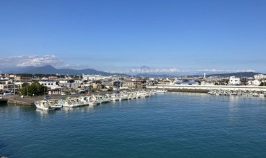 静岡市街地から約7分の港町・用宗、海水浴と生しらす丼、温泉で「用宗時間」提案 8月29日にナイトマーケット 静岡市街地から約7分の港町・用宗、海水浴と生しらす丼、温泉で「用宗時間」提案 8月29日にナイトマーケット