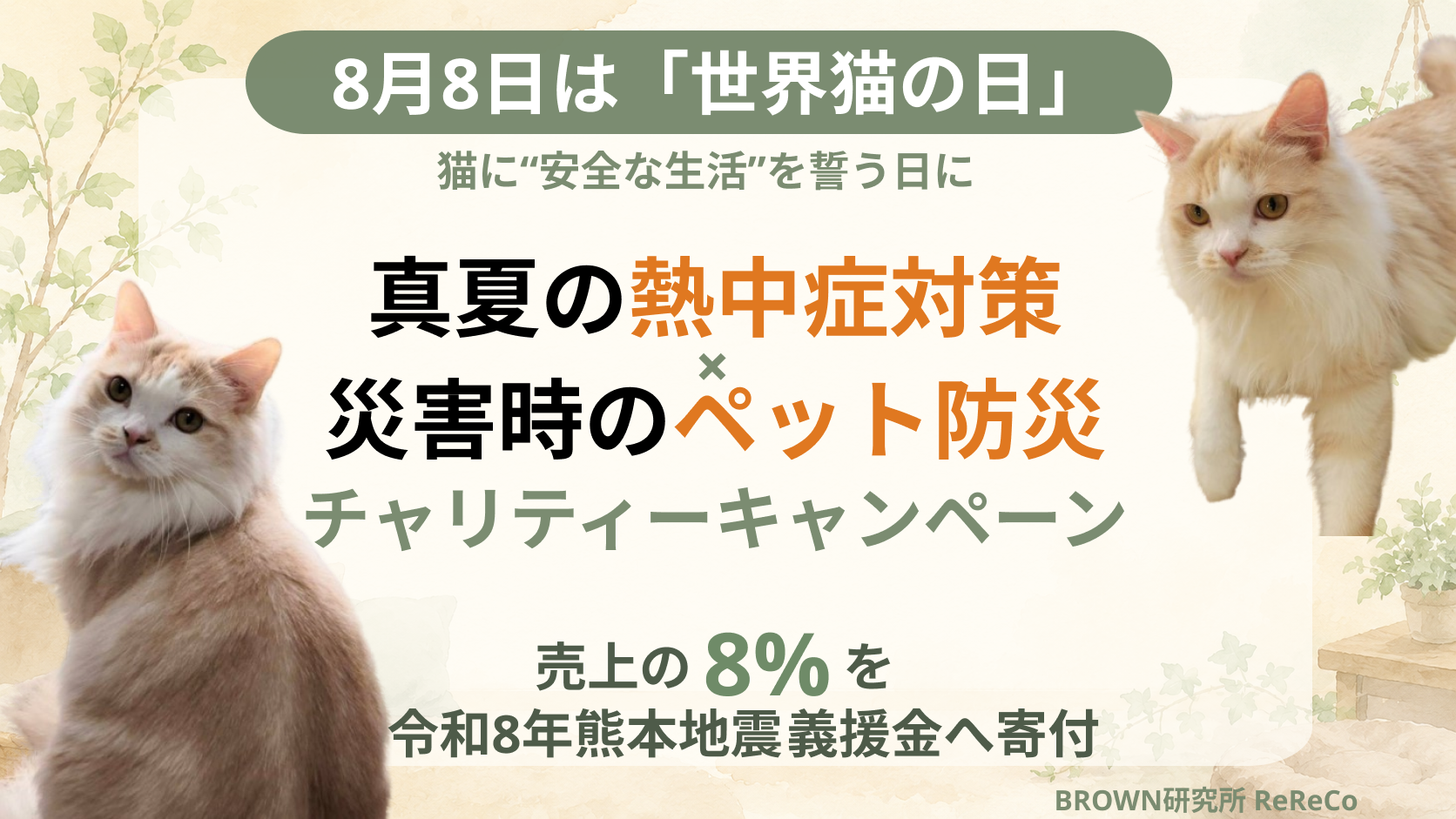 世界猫の日にペット熱中症と停電リスクに備え、ReReCo売上8%を熊本地震義援金へ寄付 世界猫の日にペット熱中症と停電リスクに備え、ReReCo売上8%を熊本地震義援金へ寄付
