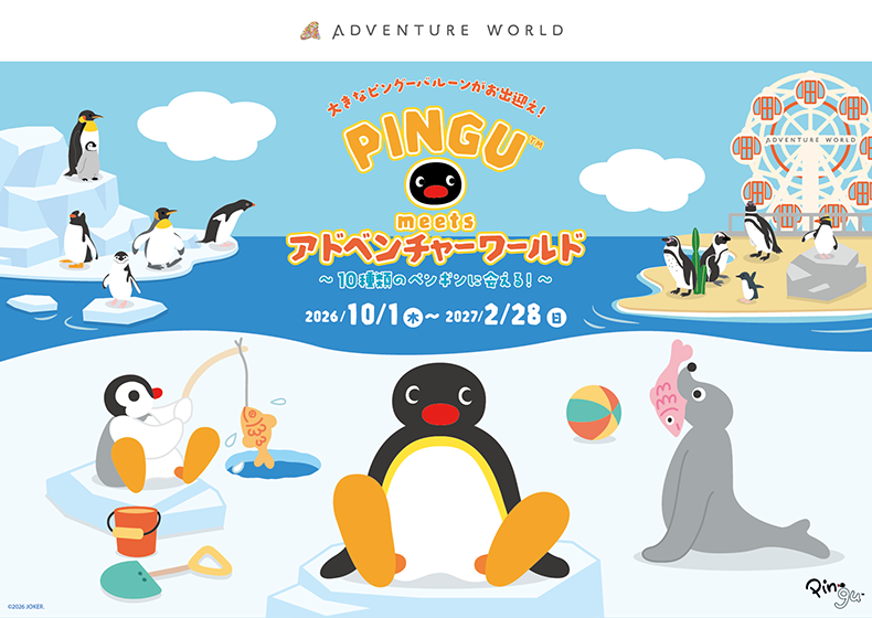 アドベンチャーワールド、ピングーコラボ続報 ノベルティ付き入園券や限定メニューを公開 アドベンチャーワールド、ピングーコラボ続報 ノベルティ付き入園券や限定メニューを公開