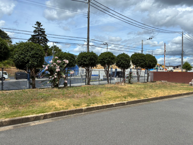 近畿5府県で記念植樹と県木寄贈、青年会議所が9月3日に同時実施 近畿5府県で記念植樹と県木寄贈、青年会議所が9月3日に同時実施