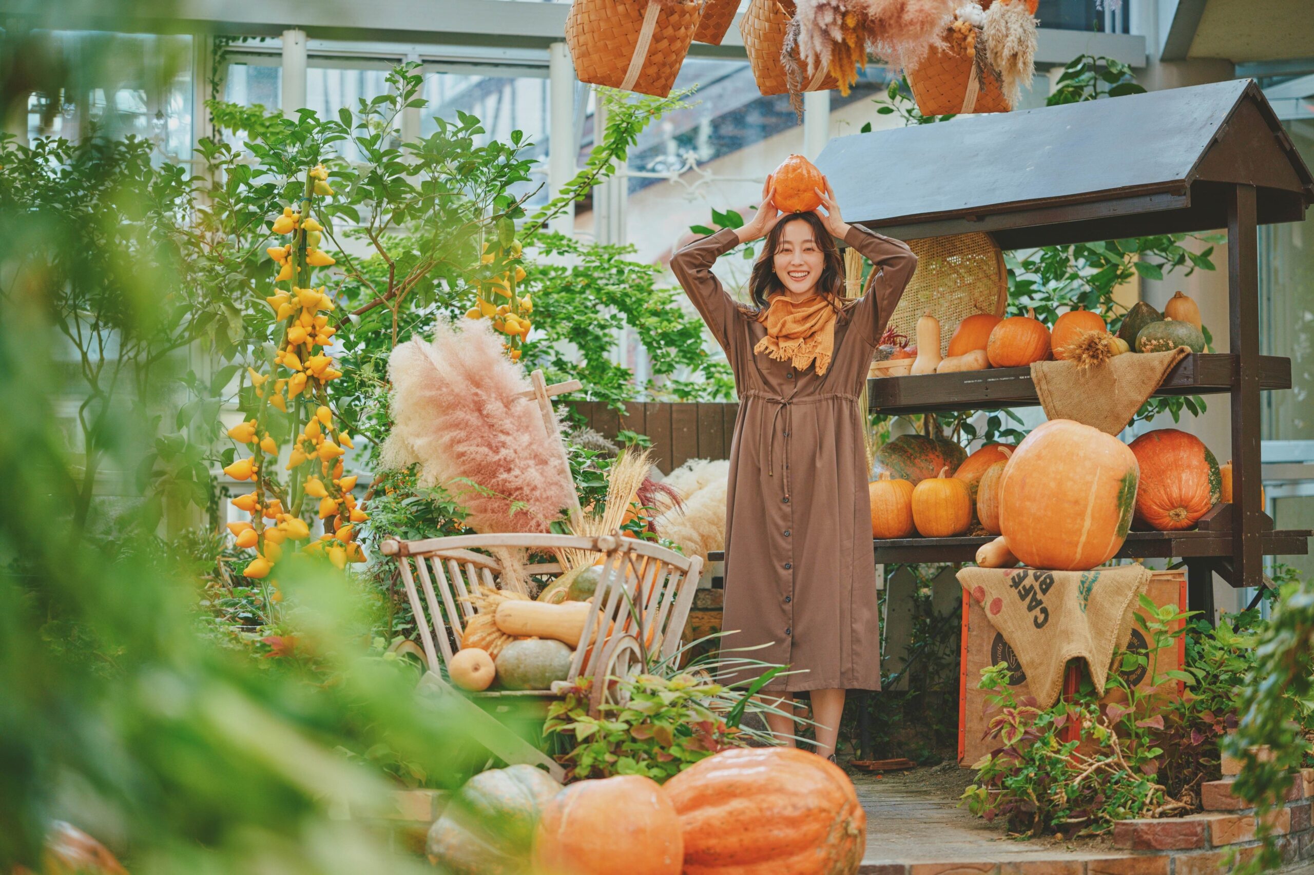 神戸布引ハーブ園で9/12~10/31「ハロウィンフェア2026」 本物のかぼちゃ約300個で園内装飾 神戸布引ハーブ園で9/12~10/31「ハロウィンフェア2026」 本物のかぼちゃ約300個で園内装飾