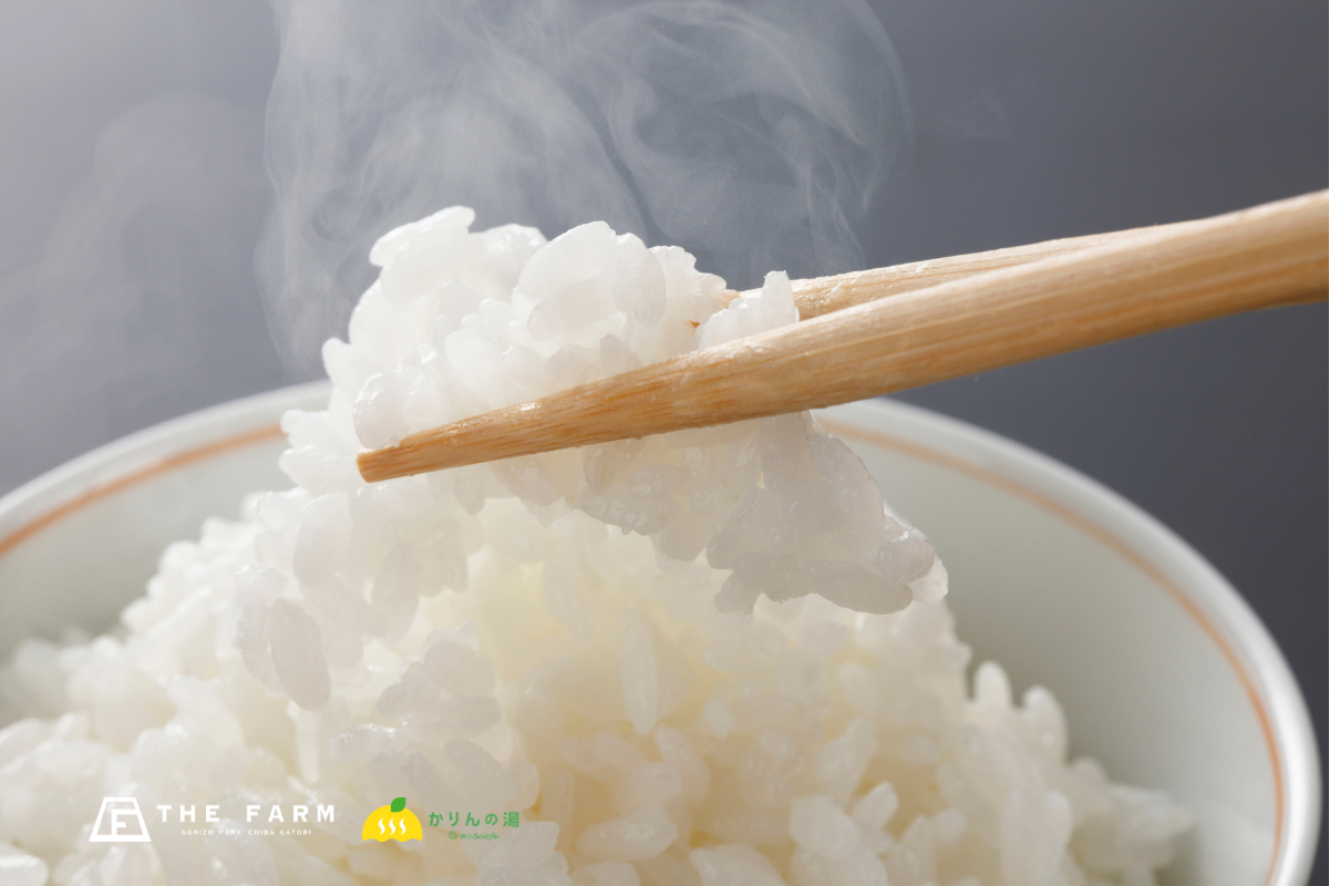 香取産コシヒカリ新米を食堂で提供、9月はご飯最大2倍へ無料増量 香取産コシヒカリ新米を食堂で提供、9月はご飯最大2倍へ無料増量