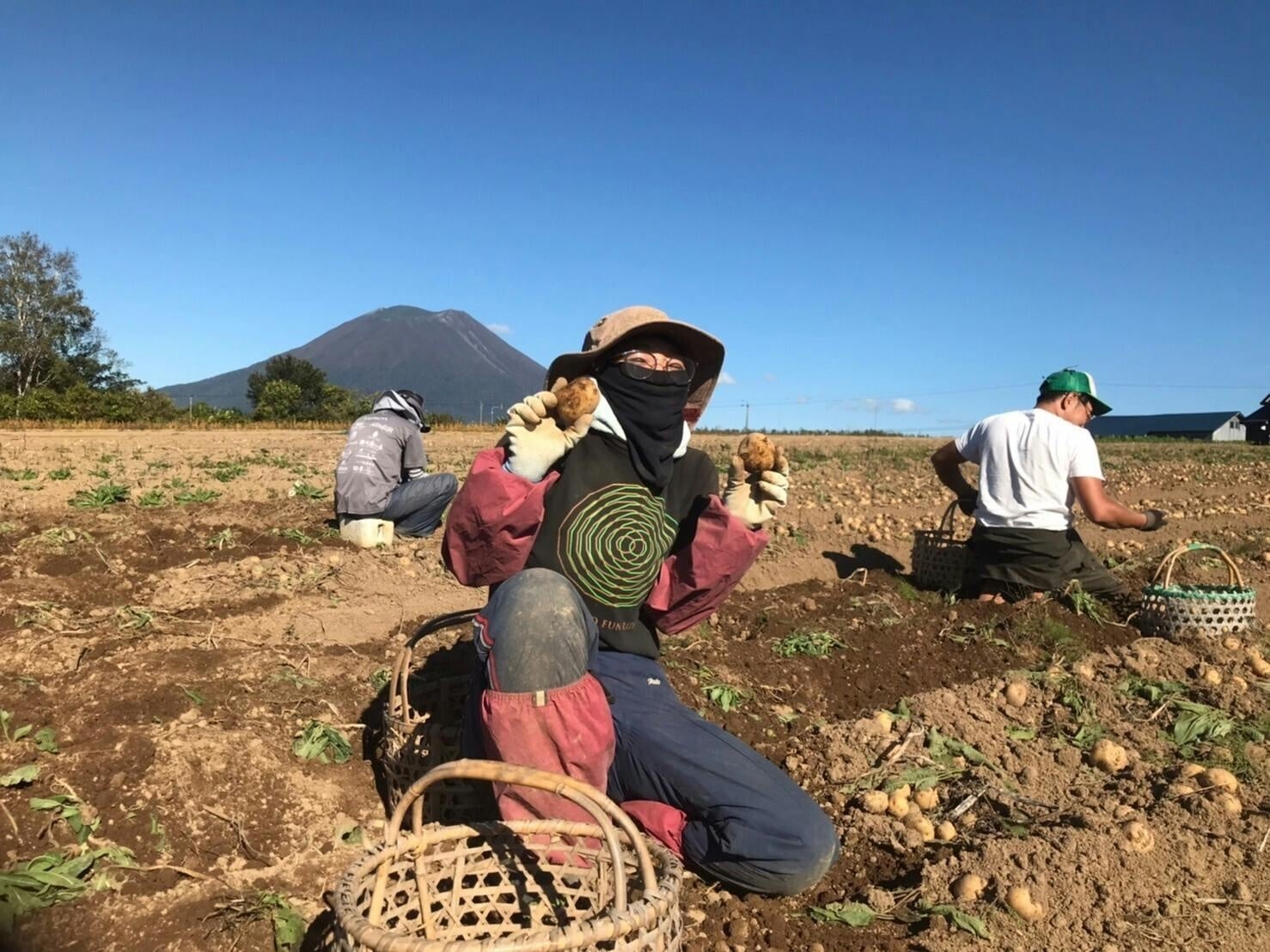 秋のニセコで「遊ぶ・味わう・癒やす」 明海グループがホテル滞在と旬の味覚を提案 秋のニセコで「遊ぶ・味わう・癒やす」 明海グループがホテル滞在と旬の味覚を提案