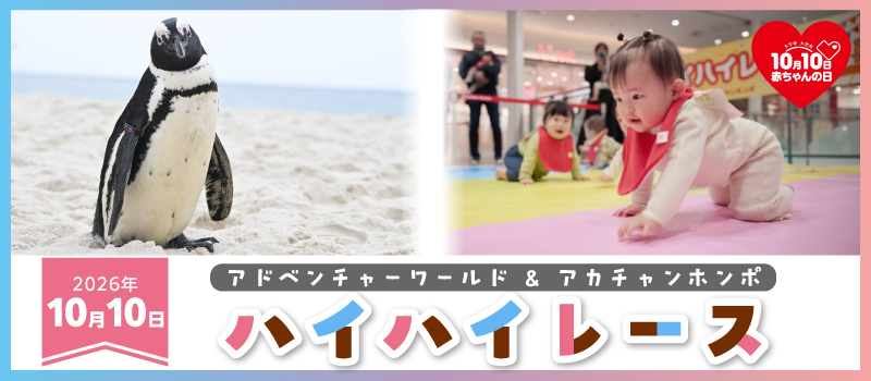 赤ちゃん本舗、アドベンチャーワールドで「ハイハイレース」初開催 10月10日に25組募集 赤ちゃん本舗、アドベンチャーワールドで「ハイハイレース」初開催 10月10日に25組募集