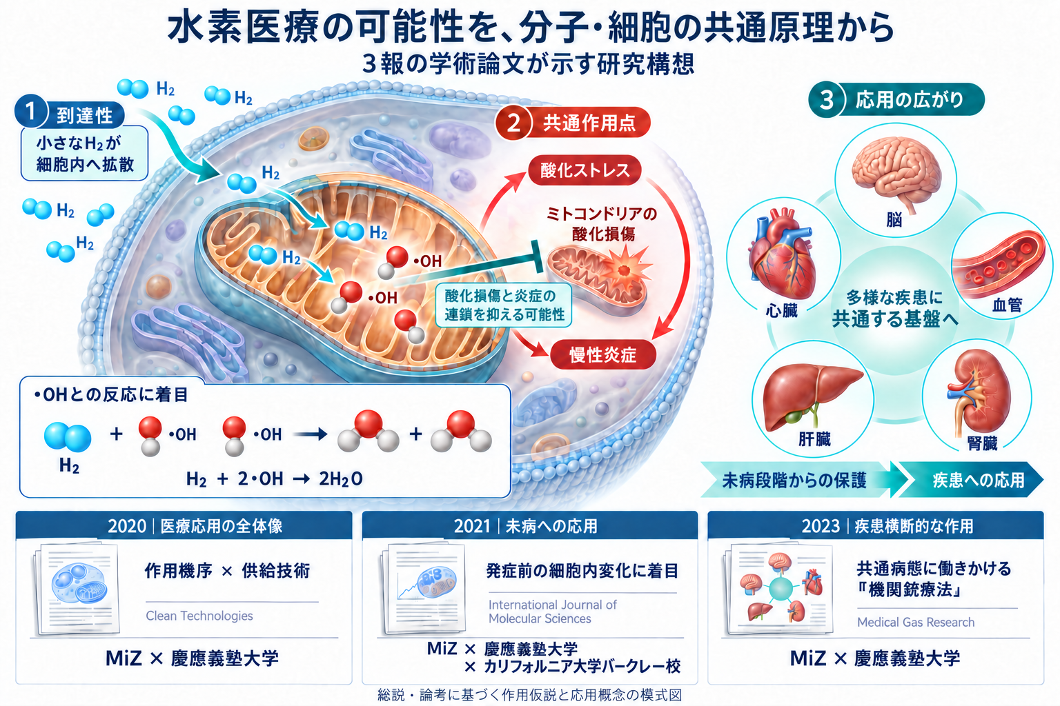 水素吸入は「低濃度が安全指標」　MiZらが疾患横断の作用点整理と装置出力10体積％以下を提唱