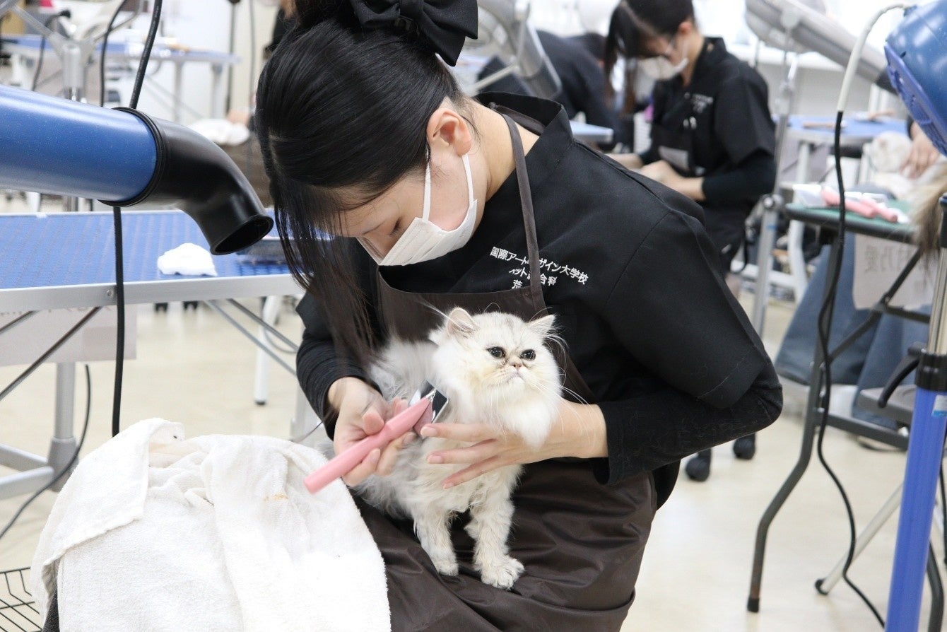 A&Dキャットグルーマーコース全員が「ライセンスC級」合格、福島で猫専門人材育成が本格化 A&Dキャットグルーマーコース全員が「ライセンスC級」合格、福島で猫専門人材育成が本格化