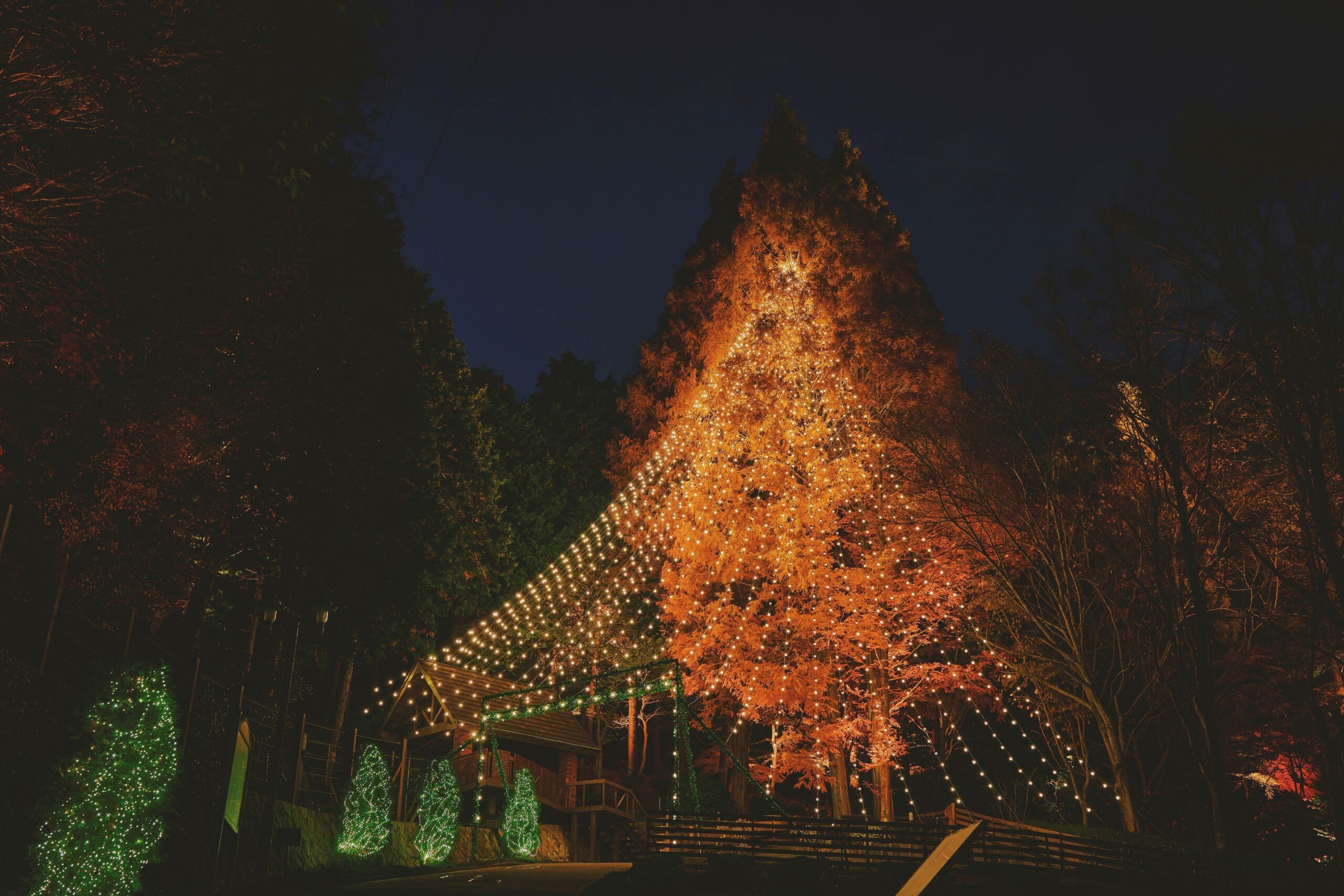 神戸布引ハーブ園で「クリスマスマーケット2026」開催 高さ25mツリーも点灯 神戸布引ハーブ園で「クリスマスマーケット2026」開催 高さ25mツリーも点灯