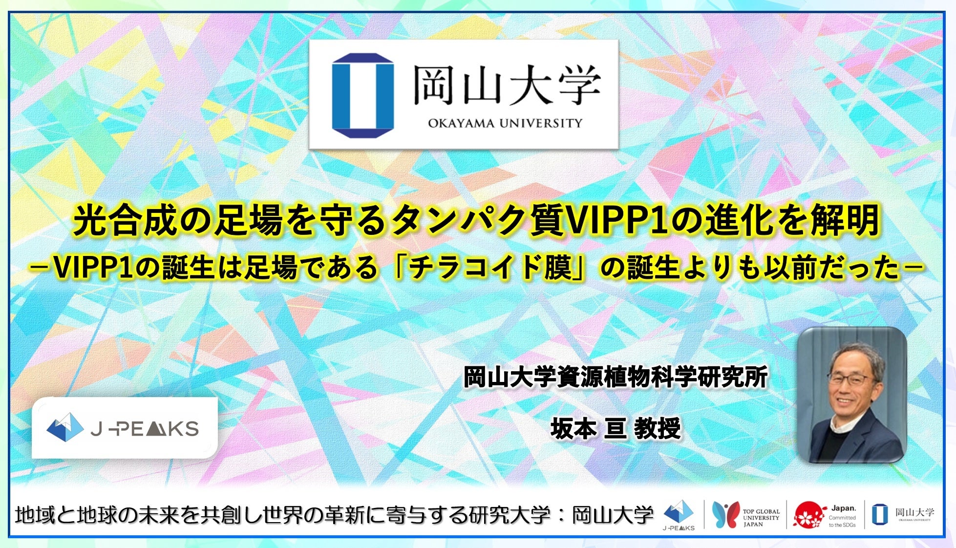 光合成膜の要VIPP1、チラコイド成立前から存在か シアノバクテリア比較で進化史 光合成膜の要VIPP1、チラコイド成立前から存在か シアノバクテリア比較で進化史
